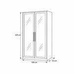Balomora 2 Door Transparent Glass Cabinet Storage diagram showing black-framed glass doors, with 100 × 55 × 220 cm.