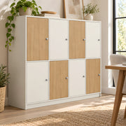 Pelquorin Multi Door Storage Cabinet