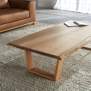 Brinchy Coffee Table_1