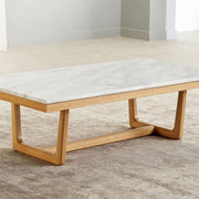 Sarlina Coffee Table_1