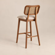 Julsenro Wooden Cane Back Bar Stool