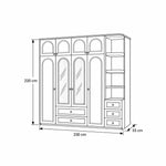 Rakilony 4 Door Wardrobe with Side Shelves: central glass-front shelves in a line drawing marked 230 × 55 × 220 cm.