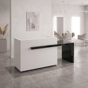 Woshiblo White Modern Salon Reception Desk