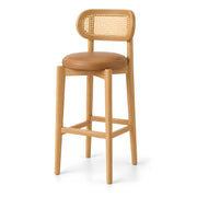 Zelendora Cane Back Wooden Bar Stool