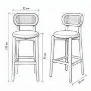 Zelendora Cane Back Wooden Bar Stool